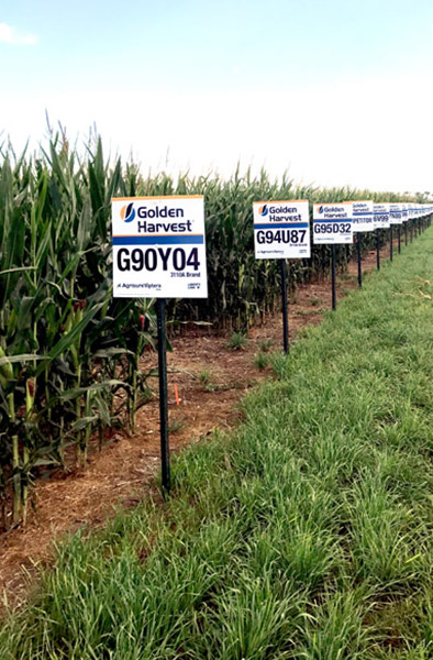 GoldenHarvest-Sign-in-a-field